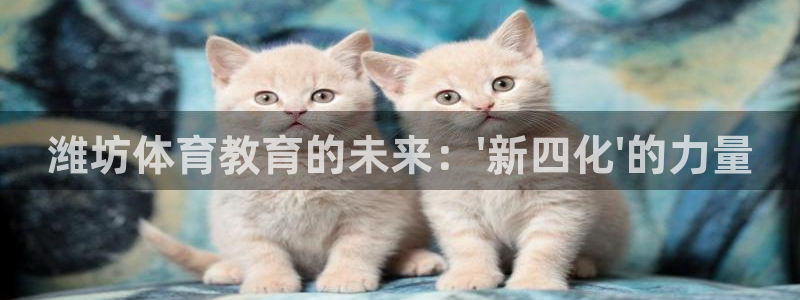 678体育知识：潍坊体育教育的未来：\'新四化\'的力量