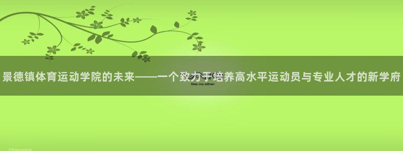 678体育app：景德镇体育运动学院的未来——一个致力于培养高水平运动员与专业人才的新学府