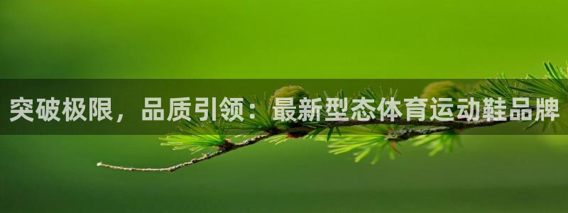 678体育app：突破极限，品质引领：最新型态体育运动鞋品牌