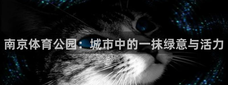 678体育app：南京体育公园：城市中的一抹绿意与活力