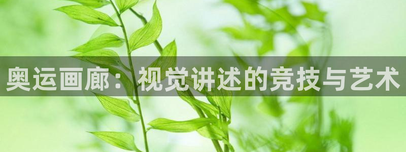 678体育官网