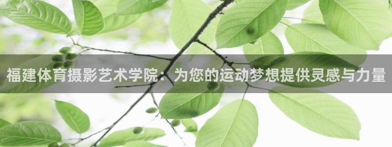 678体育官网地址