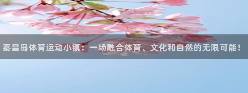 678体育官网
