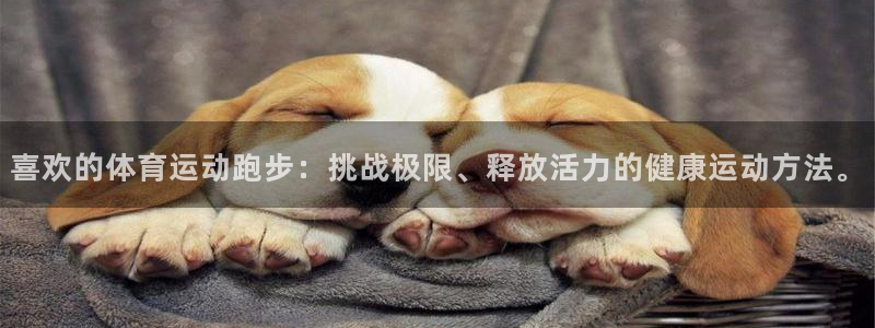 678体育app